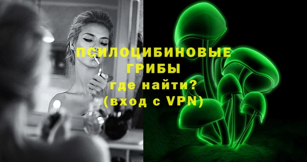 ECSTASY Кодинск