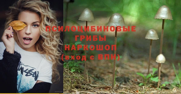 дживик Корсаков