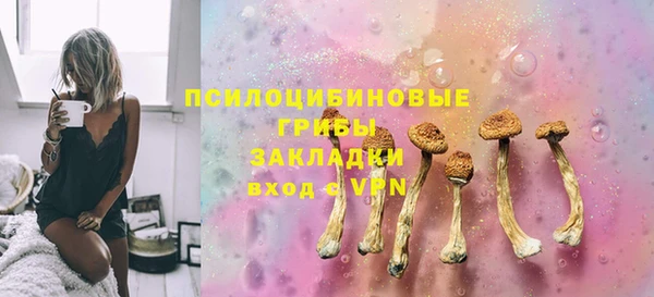 дживик Корсаков